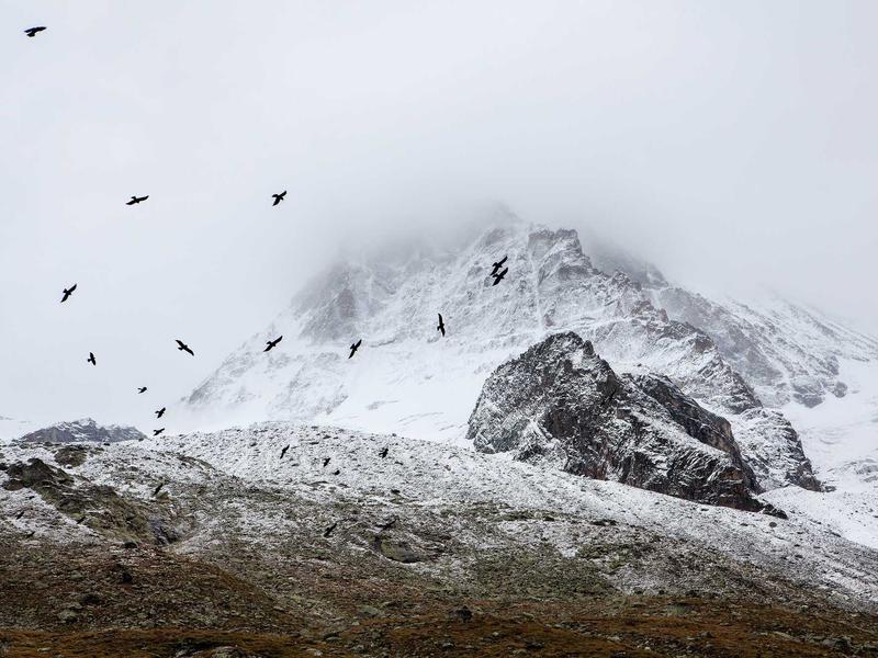 sudoku trophy collection screenshot 6